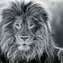 TheKing adlı kullanıcı